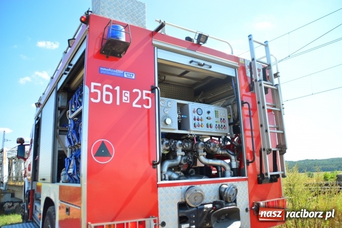 Zdjęcie w galerii na portalu naszraciborz.pl: Weekend strażaków - najwięcej wezwań do usuwania owadów. Oprócz tego m.in. pożary trawy i plamy oleju wiadomości z regionu