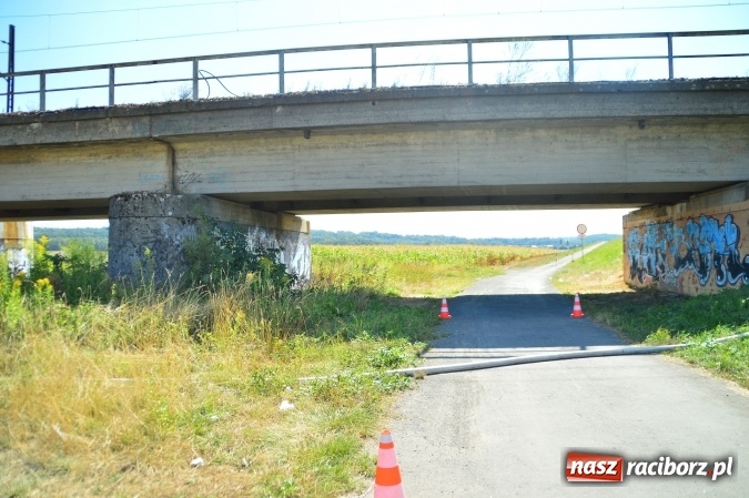 Zdjęcie w galerii na portalu naszraciborz.pl: Weekend strażaków - najwięcej wezwań do usuwania owadów. Oprócz tego m.in. pożary trawy i plamy oleju wiadomości z regionu