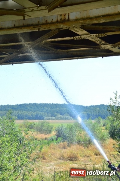 Zdjęcie w galerii na portalu naszraciborz.pl: Weekend strażaków - najwięcej wezwań do usuwania owadów. Oprócz tego m.in. pożary trawy i plamy oleju wiadomości z regionu
