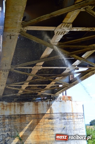 Zdjęcie w galerii na portalu naszraciborz.pl: Weekend strażaków - najwięcej wezwań do usuwania owadów. Oprócz tego m.in. pożary trawy i plamy oleju wiadomości z regionu