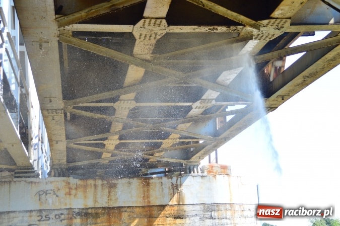 Zdjęcie w galerii na portalu naszraciborz.pl: Weekend strażaków - najwięcej wezwań do usuwania owadów. Oprócz tego m.in. pożary trawy i plamy oleju wiadomości z regionu