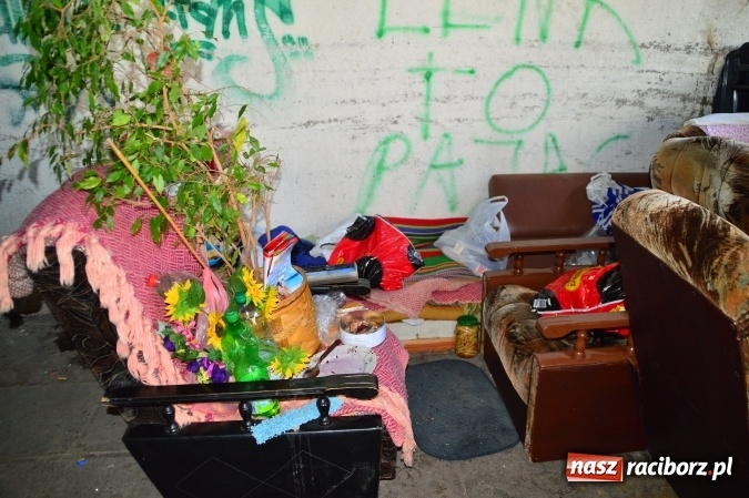 Zdjęcie w galerii na portalu naszraciborz.pl: Śmietnik stał się schronieniem dla starszej kobiety  wiadomości z regionu