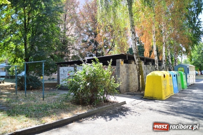 Zdjęcie w galerii na portalu naszraciborz.pl: Śmietnik stał się schronieniem dla starszej kobiety  wiadomości z regionu