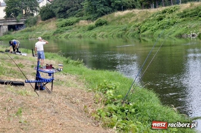 Zdjęcie w galerii na portalu naszraciborz.pl: Trwają II Memoriałowe Zawody Wędkarskie Odra 2015 wiadomości z regionu