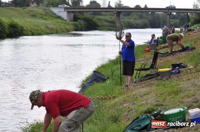 Zdjęcie w galerii na portalu naszraciborz.pl: Trwają II Memoriałowe Zawody Wędkarskie Odra 2015 wiadomości z regionu