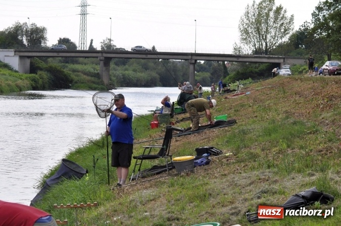 Zdjęcie w galerii na portalu naszraciborz.pl: Trwają II Memoriałowe Zawody Wędkarskie Odra 2015 wiadomości z regionu