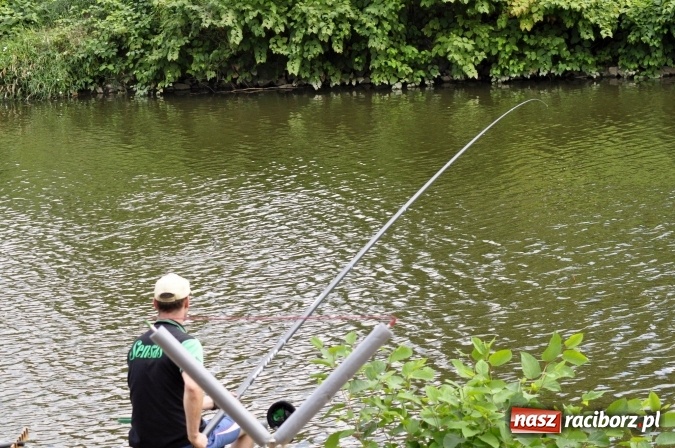 Zdjęcie w galerii na portalu naszraciborz.pl: Trwają II Memoriałowe Zawody Wędkarskie Odra 2015 wiadomości z regionu