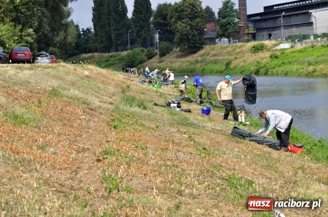 Zdjęcie w galerii na portalu naszraciborz.pl: Trwają II Memoriałowe Zawody Wędkarskie Odra 2015 wiadomości z regionu