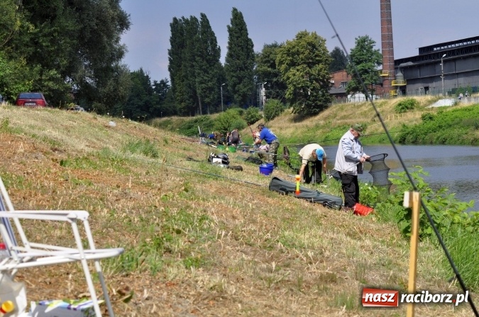 Zdjęcie w galerii na portalu naszraciborz.pl: Trwają II Memoriałowe Zawody Wędkarskie Odra 2015 wiadomości z regionu