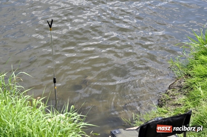 Zdjęcie w galerii na portalu naszraciborz.pl: Trwają II Memoriałowe Zawody Wędkarskie Odra 2015 wiadomości z regionu