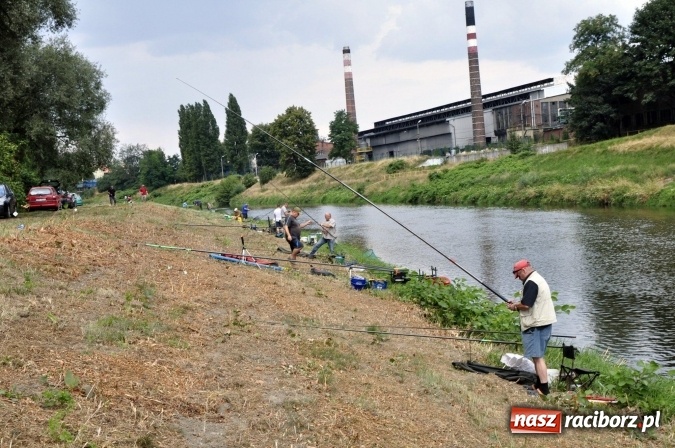 Zdjęcie w galerii na portalu naszraciborz.pl: Trwają II Memoriałowe Zawody Wędkarskie Odra 2015 wiadomości z regionu