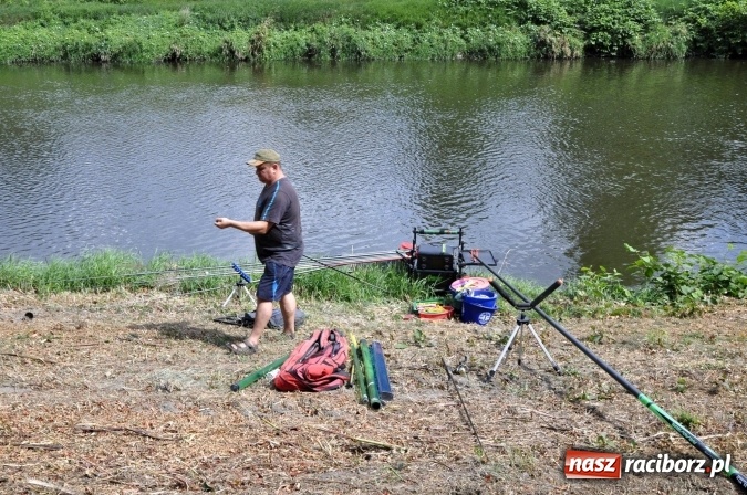 Zdjęcie w galerii na portalu naszraciborz.pl: Trwają II Memoriałowe Zawody Wędkarskie Odra 2015 wiadomości z regionu