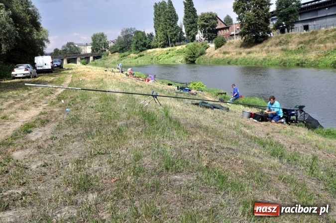 Zdjęcie w galerii na portalu naszraciborz.pl: Trwają II Memoriałowe Zawody Wędkarskie Odra 2015 wiadomości z regionu