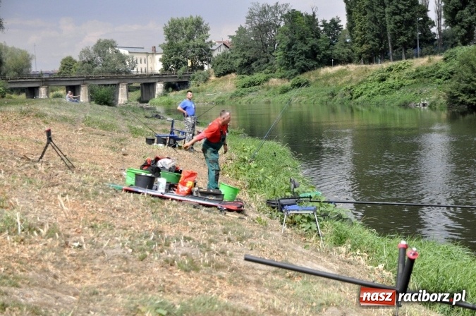 Zdjęcie w galerii na portalu naszraciborz.pl: Trwają II Memoriałowe Zawody Wędkarskie Odra 2015 wiadomości z regionu