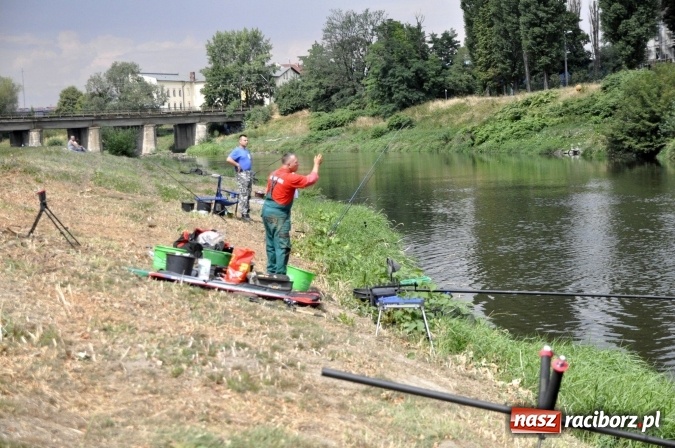 Zdjęcie w galerii na portalu naszraciborz.pl: Trwają II Memoriałowe Zawody Wędkarskie Odra 2015 wiadomości z regionu