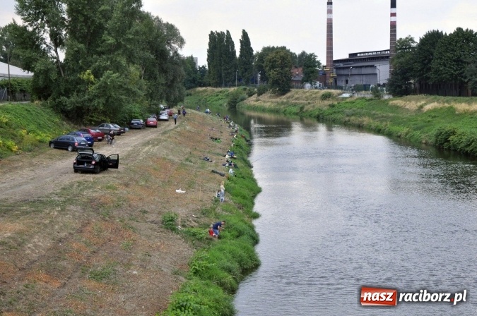 Zdjęcie w galerii na portalu naszraciborz.pl: Trwają II Memoriałowe Zawody Wędkarskie Odra 2015 wiadomości z regionu