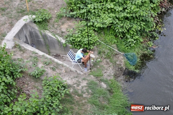Zdjęcie w galerii na portalu naszraciborz.pl: Trwają II Memoriałowe Zawody Wędkarskie Odra 2015 wiadomości z regionu