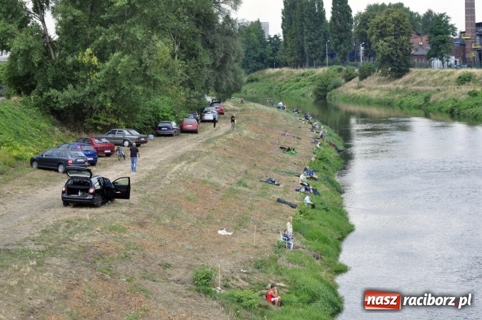 Zdjęcie w galerii na portalu naszraciborz.pl: Trwają II Memoriałowe Zawody Wędkarskie Odra 2015 wiadomości z regionu