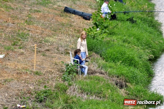 Zdjęcie w galerii na portalu naszraciborz.pl: Trwają II Memoriałowe Zawody Wędkarskie Odra 2015 wiadomości z regionu