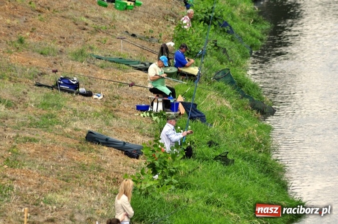Zdjęcie w galerii na portalu naszraciborz.pl: Trwają II Memoriałowe Zawody Wędkarskie Odra 2015 wiadomości z regionu