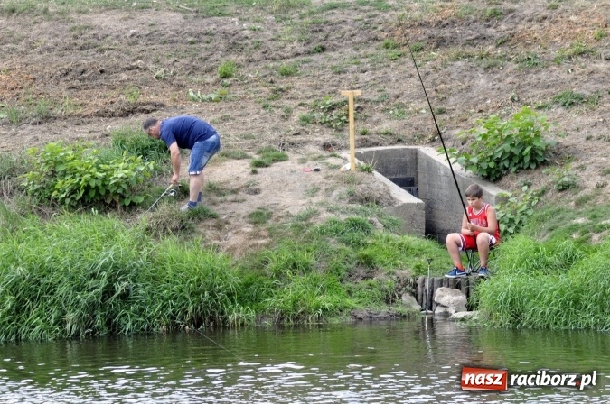 Zdjęcie w galerii na portalu naszraciborz.pl: Trwają II Memoriałowe Zawody Wędkarskie Odra 2015 wiadomości z regionu