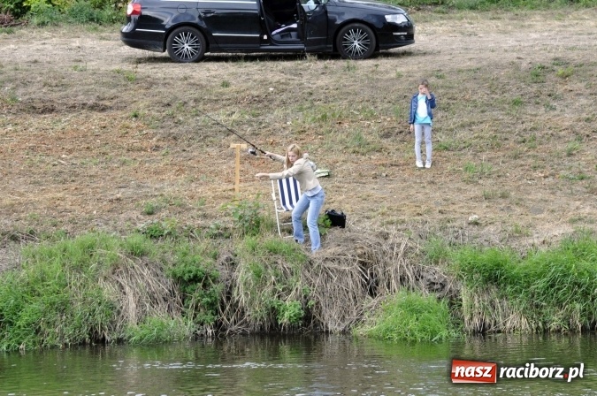 Zdjęcie w galerii na portalu naszraciborz.pl: Trwają II Memoriałowe Zawody Wędkarskie Odra 2015 wiadomości z regionu