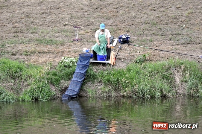 Zdjęcie w galerii na portalu naszraciborz.pl: Trwają II Memoriałowe Zawody Wędkarskie Odra 2015 wiadomości z regionu