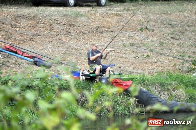 Zdjęcie w galerii na portalu naszraciborz.pl: Trwają II Memoriałowe Zawody Wędkarskie Odra 2015 wiadomości z regionu