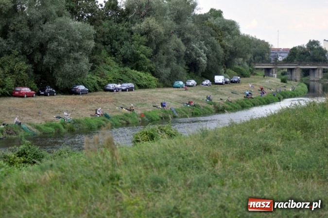 Zdjęcie w galerii na portalu naszraciborz.pl: Trwają II Memoriałowe Zawody Wędkarskie Odra 2015 wiadomości z regionu