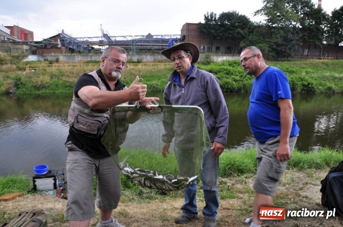 Zdjęcie w galerii na portalu naszraciborz.pl: Najlepsi wędkarze i jedna mała wędkareczka - nagrodzeni wiadomości z regionu