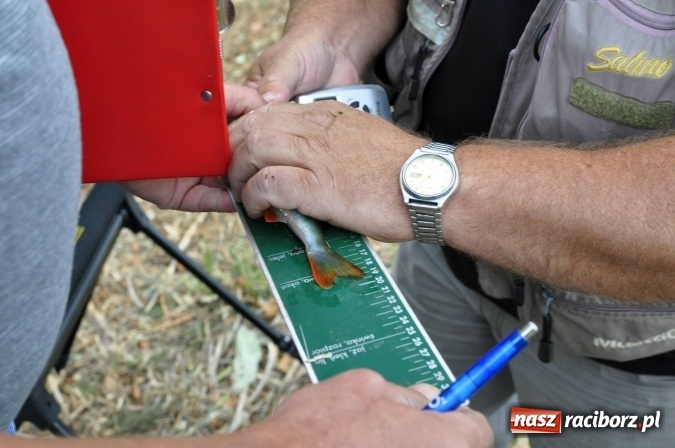 Zdjęcie w galerii na portalu naszraciborz.pl: Najlepsi wędkarze i jedna mała wędkareczka - nagrodzeni wiadomości z regionu