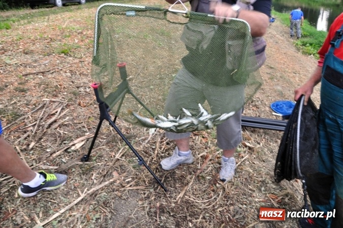 Zdjęcie w galerii na portalu naszraciborz.pl: Najlepsi wędkarze i jedna mała wędkareczka - nagrodzeni wiadomości z regionu