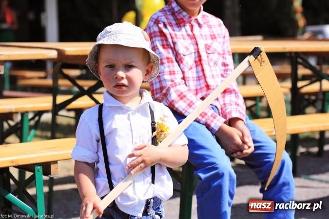 Zdjęcie w galerii na portalu naszraciborz.pl: Dożynki 2015 - świętowanie w Cyprzanowie wiadomości z regionu