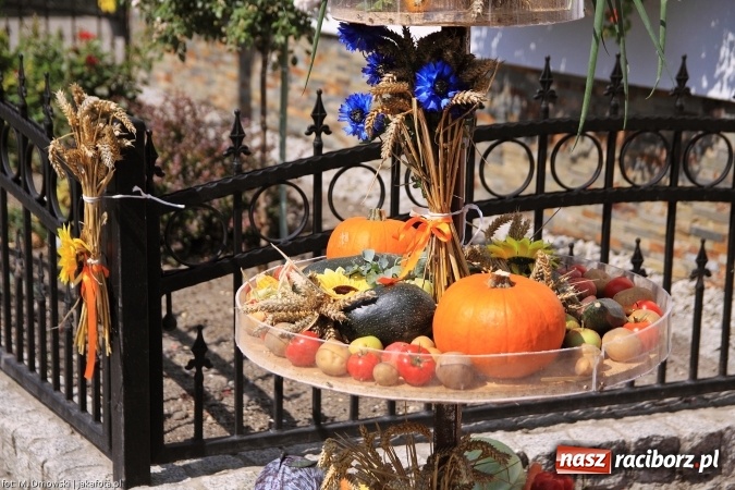 Zdjęcie w galerii na portalu naszraciborz.pl: Dożynki 2015 - świętowanie w Cyprzanowie wiadomości z regionu