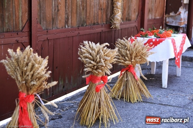 Zdjęcie w galerii na portalu naszraciborz.pl: Dożynki 2015 - świętowanie w Cyprzanowie wiadomości z regionu
