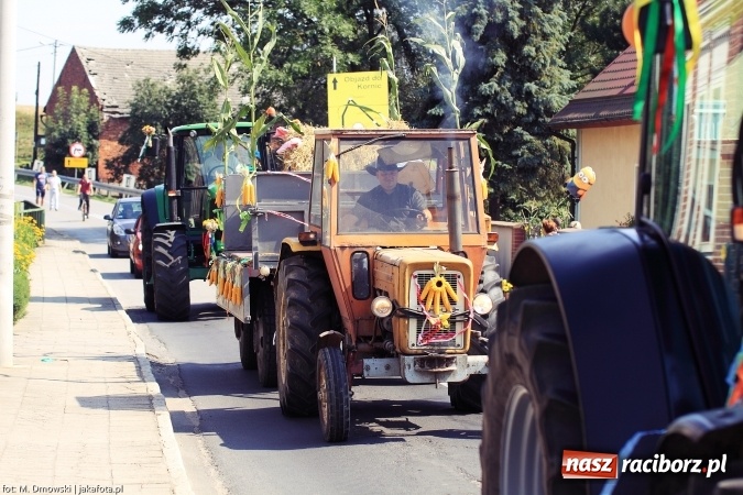 Zdjęcie w galerii na portalu naszraciborz.pl: Dożynki 2015 - święto plonów w Makowie wiadomości z regionu