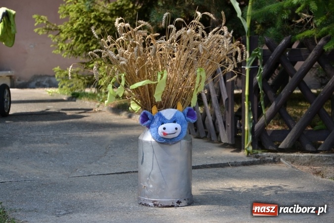 Zdjęcie w galerii na portalu naszraciborz.pl: Dożynki 2015 - w Bolesławiu wciąż gorąco wiadomości z regionu