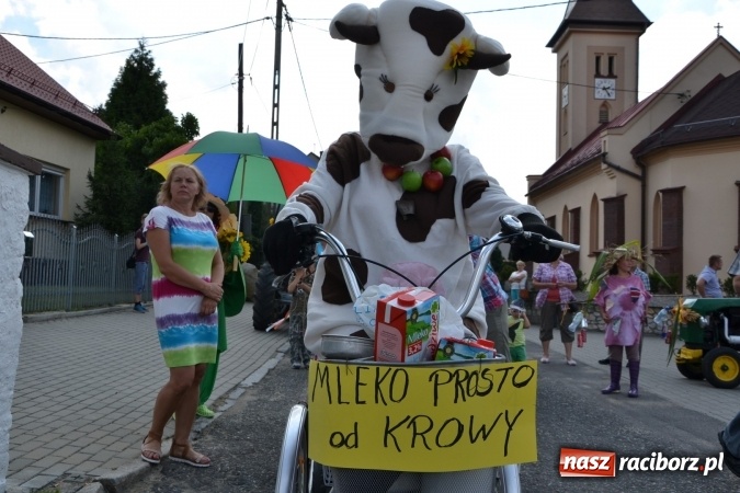 Zdjęcie w galerii na portalu naszraciborz.pl: Dożynki 2015 - kowbojki i minionki w Roszkowie wiadomości z regionu
