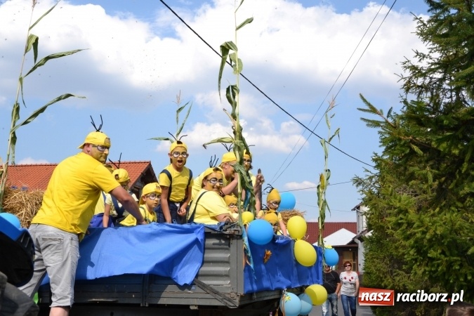 Zdjęcie w galerii na portalu naszraciborz.pl: Dożynki 2015 - kowbojki i minionki w Roszkowie wiadomości z regionu