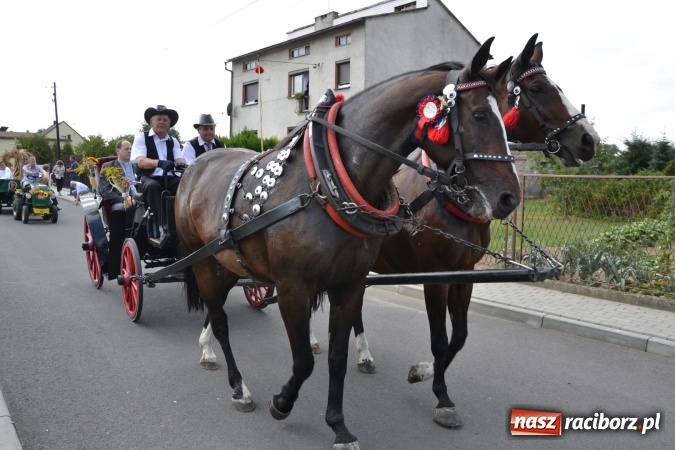 Zdjęcie w galerii na portalu naszraciborz.pl: Dożynki 2015 - kowbojki i minionki w Roszkowie wiadomości z regionu