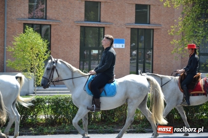 Zdjęcie w galerii na portalu naszraciborz.pl: Śladami króla Jana po raz trzeci. Orszak zatrzymał się w Nędzy wiadomości z regionu