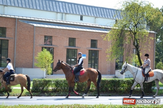 Zdjęcie w galerii na portalu naszraciborz.pl: Śladami króla Jana po raz trzeci. Orszak zatrzymał się w Nędzy wiadomości z regionu