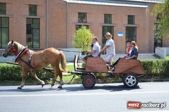 Zdjęcie w galerii na portalu naszraciborz.pl: Śladami króla Jana po raz trzeci. Orszak zatrzymał się w Nędzy wiadomości z regionu
