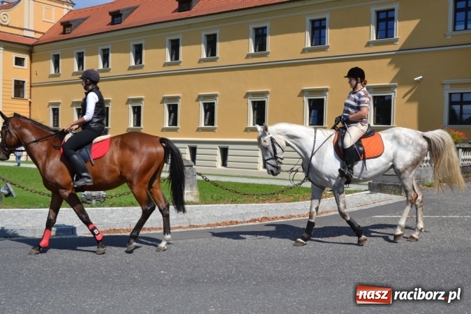 Zdjęcie w galerii na portalu naszraciborz.pl: Śladami króla Jana po raz trzeci. Orszak zatrzymał się w Nędzy wiadomości z regionu