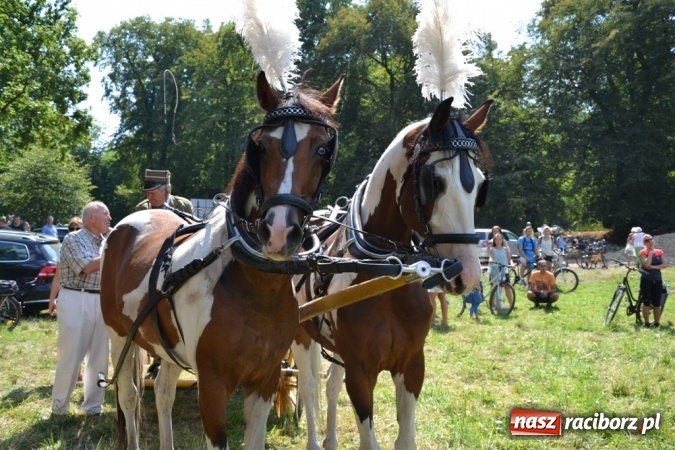 Zdjęcie w galerii na portalu naszraciborz.pl: Śladami króla Jana po raz trzeci. Orszak zatrzymał się w Nędzy wiadomości z regionu