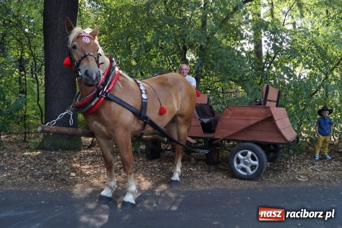 Zdjęcie w galerii na portalu naszraciborz.pl: Śladami króla Jana po raz trzeci. Orszak zatrzymał się w Nędzy wiadomości z regionu