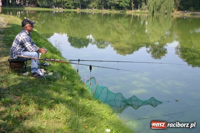 Zdjęcie w galerii na portalu naszraciborz.pl: Emeryci i renciści rywalizowali wczoraj o tytuł najlepszego wędkarza na zawodach w Tworkowie wiadomości z regionu