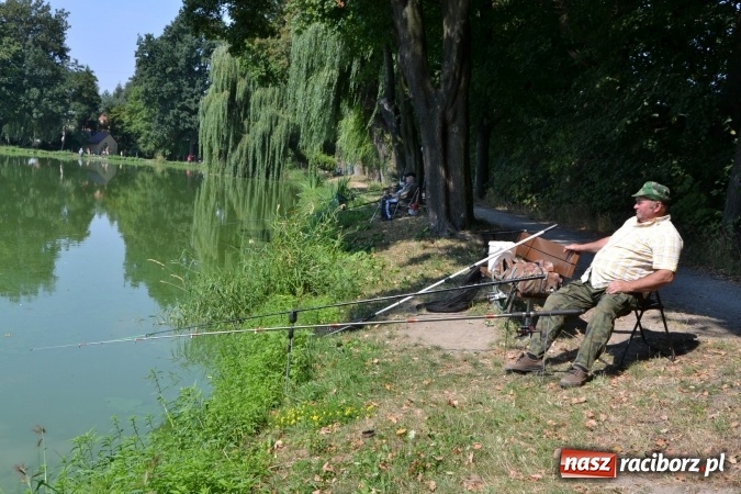 Zdjęcie w galerii na portalu naszraciborz.pl: Emeryci i renciści rywalizowali wczoraj o tytuł najlepszego wędkarza na zawodach w Tworkowie wiadomości z regionu