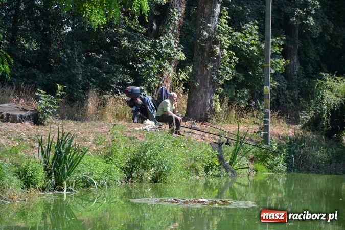 Zdjęcie w galerii na portalu naszraciborz.pl: Emeryci i renciści rywalizowali wczoraj o tytuł najlepszego wędkarza na zawodach w Tworkowie wiadomości z regionu