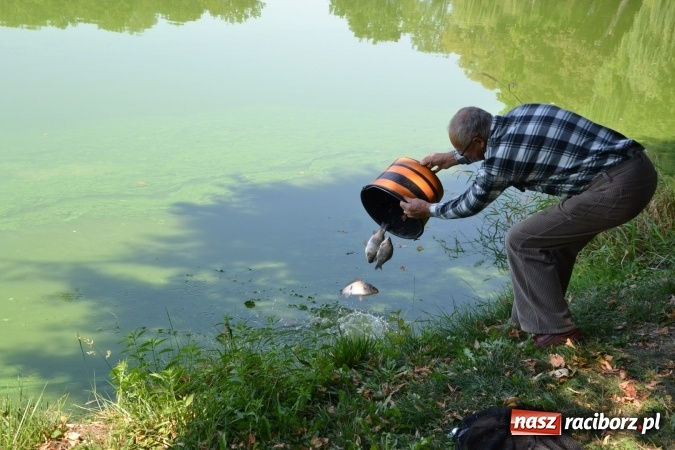 Zdjęcie w galerii na portalu naszraciborz.pl: Emeryci i renciści rywalizowali wczoraj o tytuł najlepszego wędkarza na zawodach w Tworkowie wiadomości z regionu